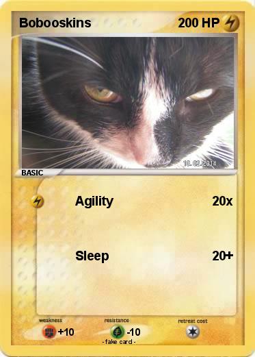 Pokemon Bobooskins