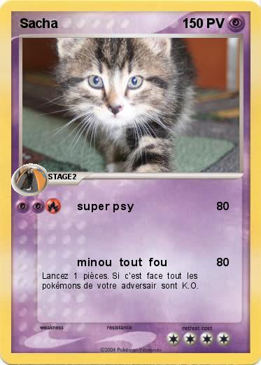 Pokemon Sacha