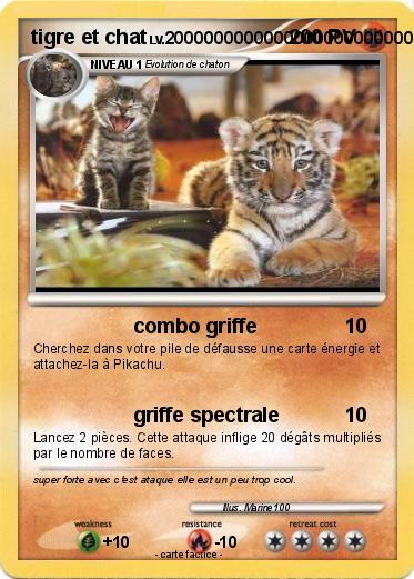 Pokemon tigre et chat
