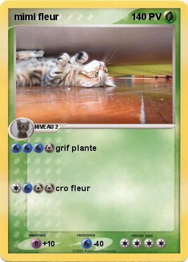Pokemon mimi fleur