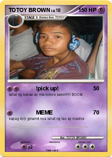 Pokemon TOTOY BROWN