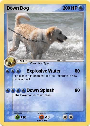 Pokemon Down Dog