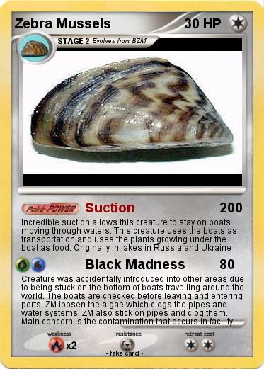 Pokemon Zebra Mussels