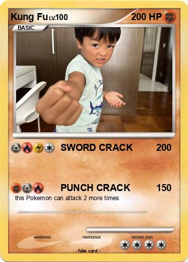 Pokemon Kung Fu