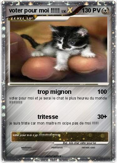 Pokemon voter pour moi !!!!!