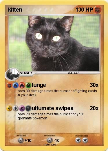 Pokemon kitten