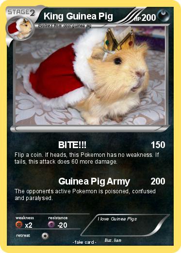 Pokemon King Guinea Pig