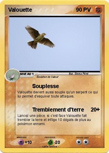 Pokemon Valouette