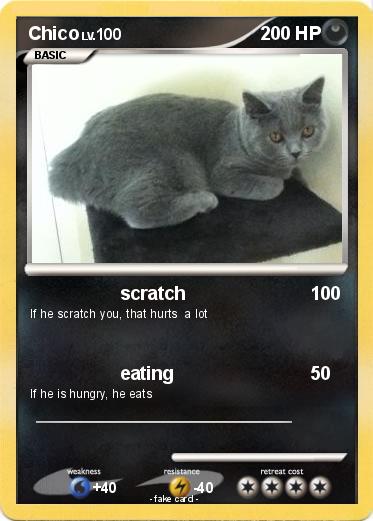 Pokemon Chico