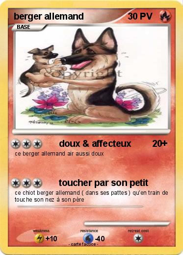 Pokemon berger allemand