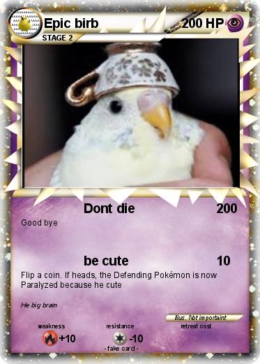Pokemon Epic birb