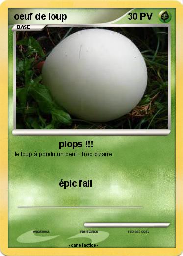 Pokemon oeuf de loup