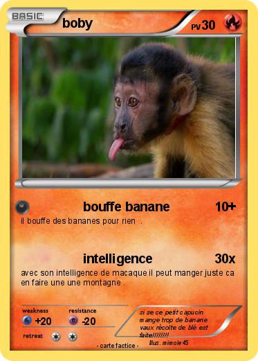Pokemon boby