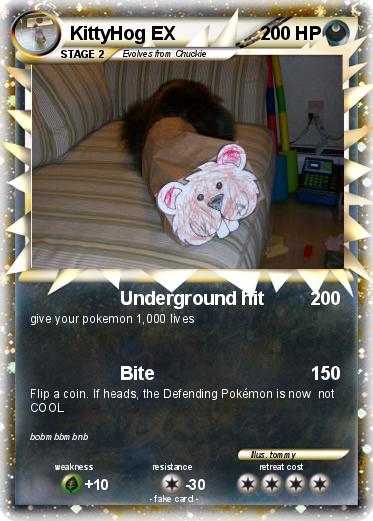 Pokemon KittyHog EX