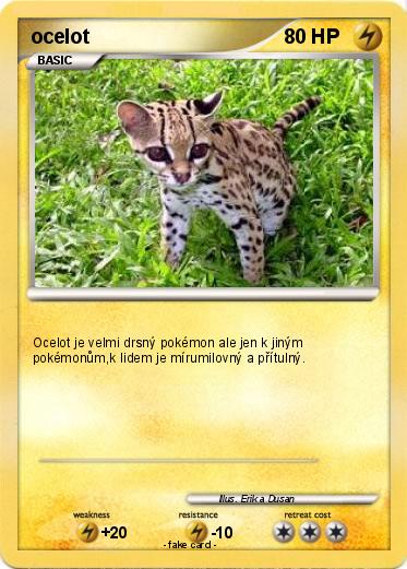 Pokemon ocelot