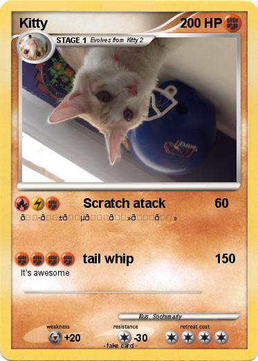 Pokemon Kitty