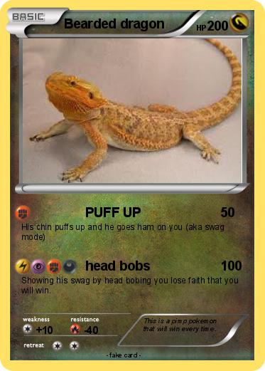 Pokemon Bearded dragon
