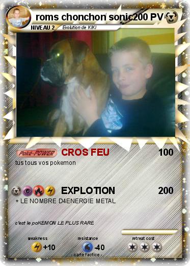 Pokemon roms chonchon sonic