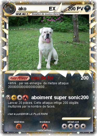 Pokemon ako                 EX