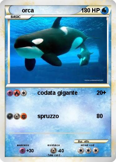 Pokemon orca