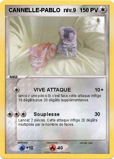 Pokemon CANNELLE-PABLO  niv.9
