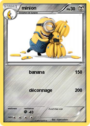 Pokemon minion