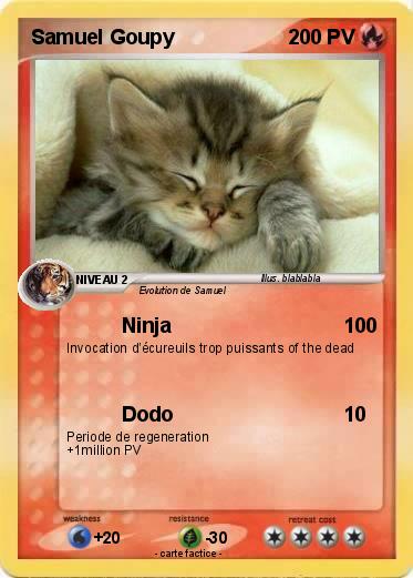 Pokemon Samuel Goupy