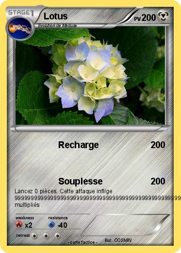 Pokemon Lotus
