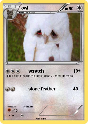 Pokemon owl