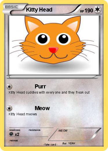Pokemon Kitty Head