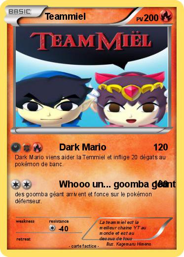 Pokemon Teammiel