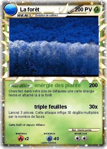 Pokemon La forêt