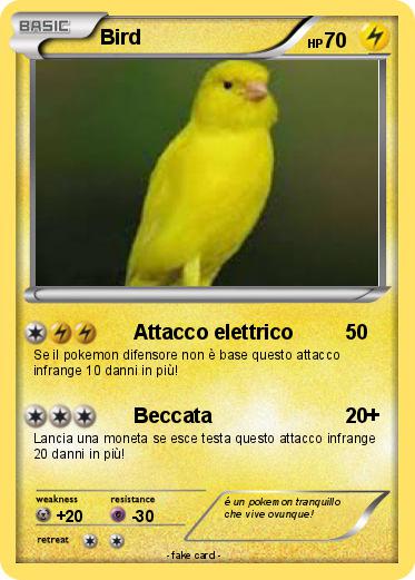 Pokemon Bird