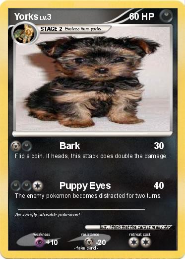 Pokemon Yorks