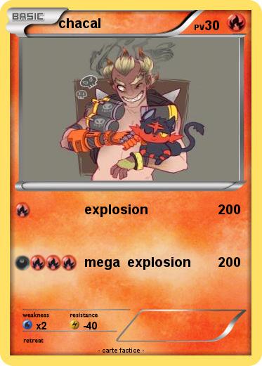 Pokemon chacal
