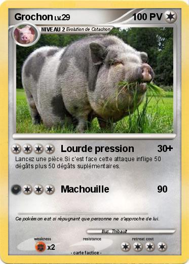 Pokemon Grochon