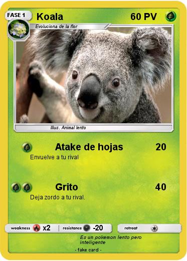 Pokemon Koala