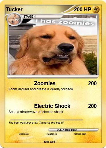 Pokemon Tucker