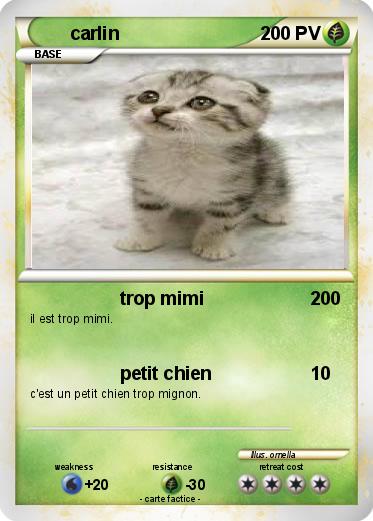 Pokemon carlin