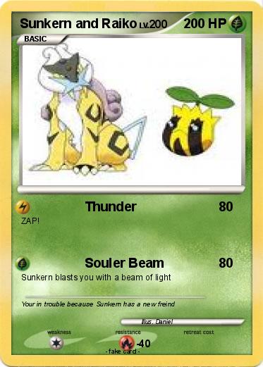 Pokemon Sunkern and Raiko