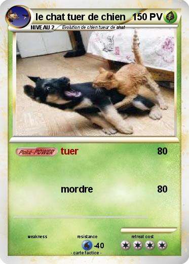 Pokemon le chat tuer de chien