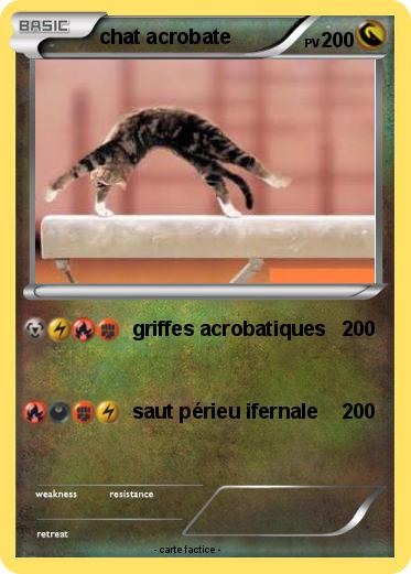 Pokemon chat acrobate