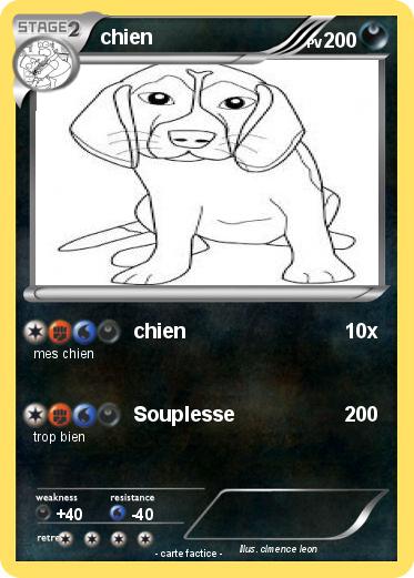 Pokemon chien