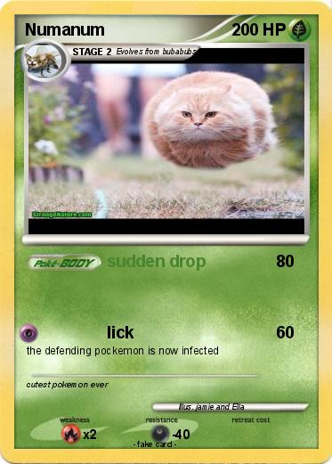 Pokemon Numanum