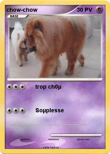 Pokemon chow-chow