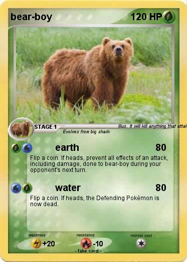 Pokemon bear-boy