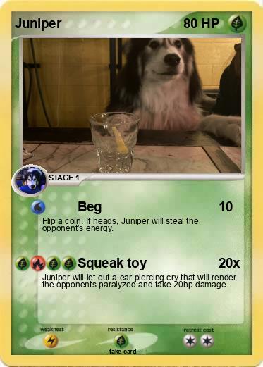 Pokemon Juniper
