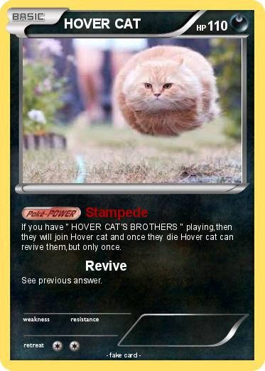 Pokemon HOVER CAT