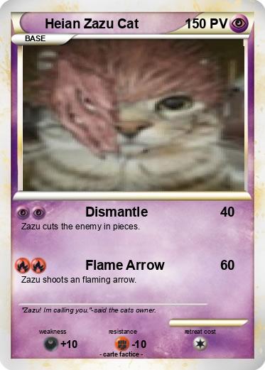 Pokemon Heian Zazu Cat