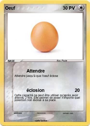 Pokemon Oeuf